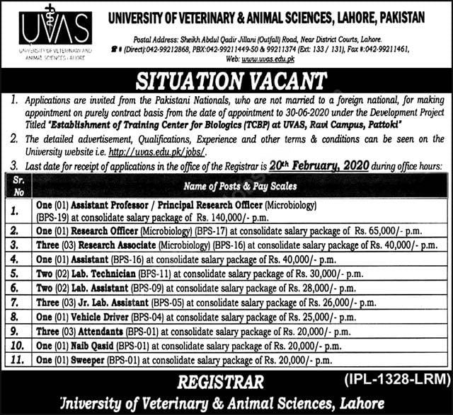 University of Veterinary and Animal Sciences Lahore Jobs 2020 Latest -  Teaching & Non-Teaching Faculty - Application Form