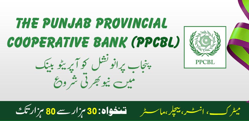 Ppcbl Bank Jobs