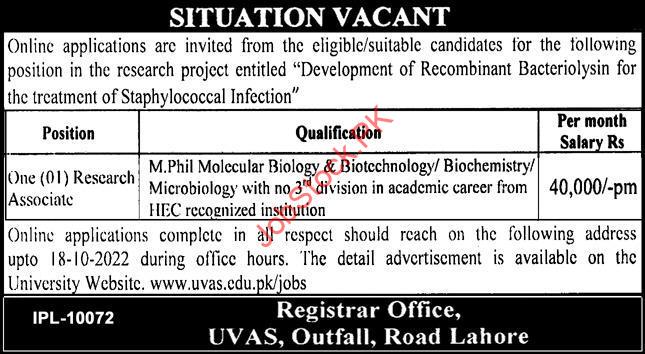 University of Veterinary & Animal Sciences UVAS Lahore Jobs 2022