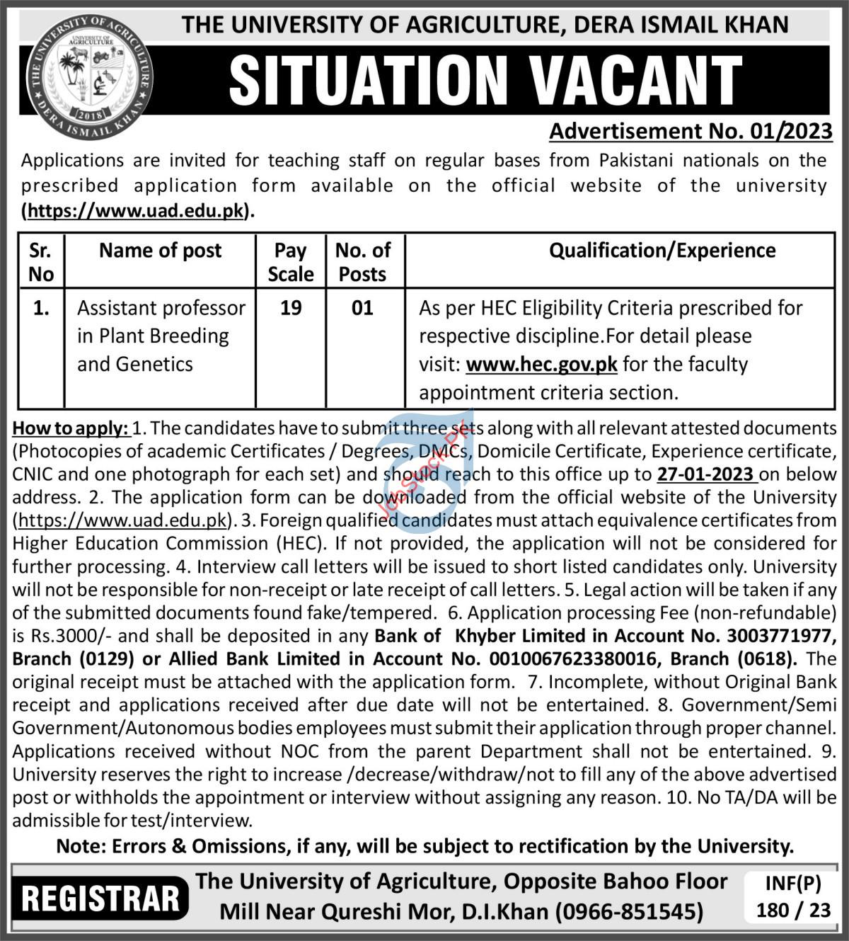 University Of Agriculture Jobs 2023