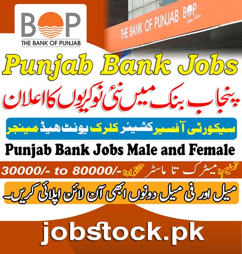 Punjab Bank Jobs
