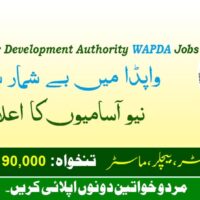 Wapda Jobs