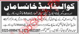 Cook & Maid Jobs in House