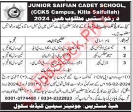 Junior Saifian Cadet School Killa Saifullah Jobs 2024