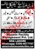 Moawin Facility Management Pvt Ltd Lahore Jobs 2024