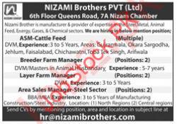 Nizami Brothers Private Limited Jobs 2024