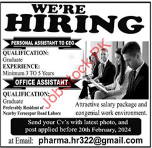 Personal Assistant & Office Assistant Jobs 2024 in Lahore